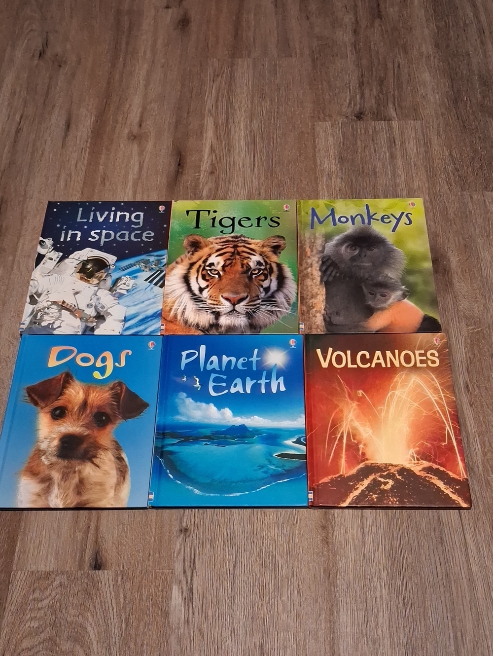 6 Usborne Books Beginners